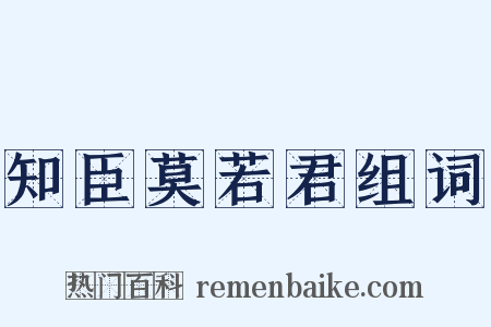 知臣莫若君组词是什么意思的图片